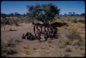 Dance: Line of men dancing counter-clockwise around the circle of women sitting at a daytime dance