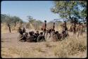 Dance: Line of men dancing clockwise around a circle of women sitting at a daytime dance, with a man performing a ritual curing