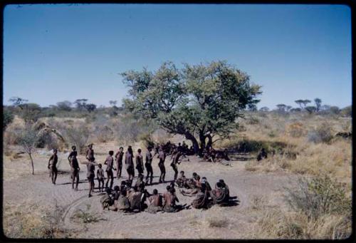 Dance: Men dancing clockwise around the circle of women sitting at a daytime dance, with more men entering