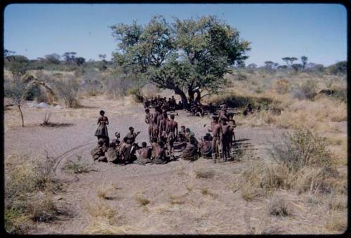 Dance: Line of men dancing clockwise through the circle of women sitting at a daytime dance