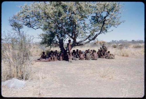 Dance: Group of dancers sitting and resting under a tree at the end of a daytime dance