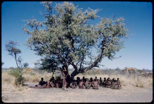 Dance: Group of dancers sitting and resting under a tree at the end of a daytime dance