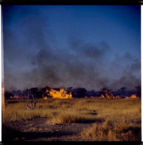 Fire, Veld: Veld fire at Gautscha (half of stereo 2001.29.5409)