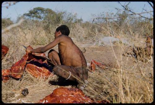 Food, Meat: "Gao Medicine" cutting up meat, close-up