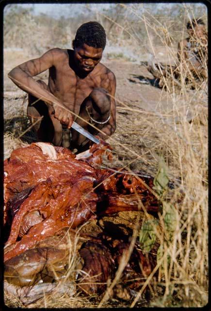 Food, Meat: "Gao Medicine" cutting up meat, close-up