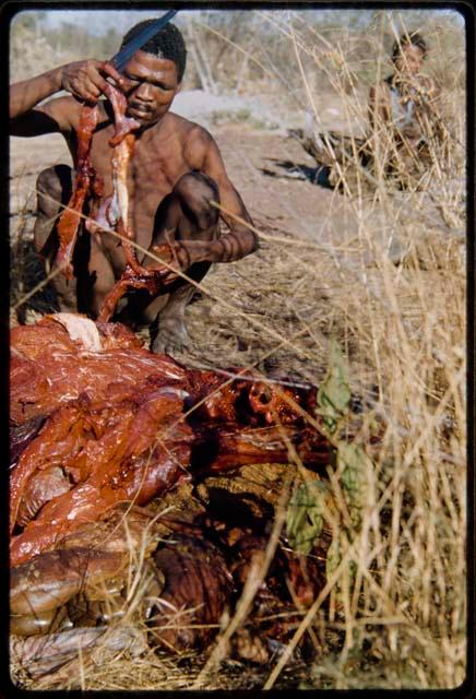 Food, Meat: "Gao Medicine" cutting up meat, showing how strips are cut for biltong