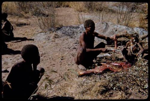 Food, Meat: "Old ≠Toma" and "Old Gaishay" with a quarter of meat, the share in a distribution of meat