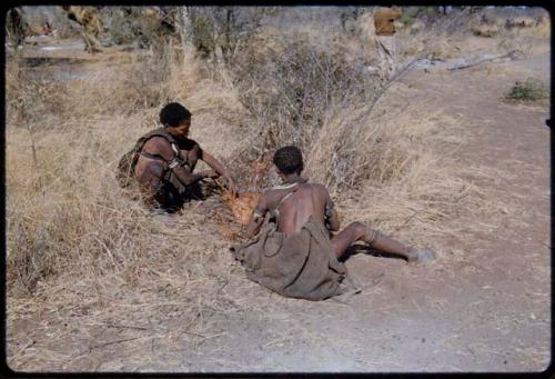 Food, Meat: Two women preparing an animal stomach