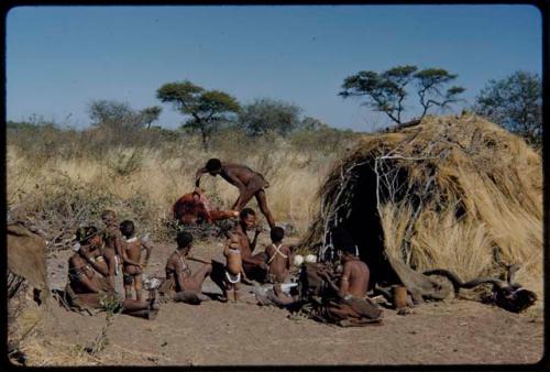 Food, Meat: "Gao Medicine" bringing a quarter of meat in meat distribution to a group of people sitting in front of a skerm, including "Old ≠Toma" sitting in the middle of the group