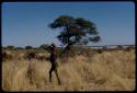 Food, Meat: Man carrying meat through the grass, with skerms in the background