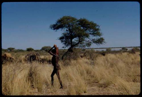 Food, Meat: Man carrying meat through the grass, with skerms in the background