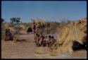 Food, Meat: "Gao Medicine" bringing a quarter of meat in meat distribution to a group of people in Band 2 sitting in front of Gau's skerm