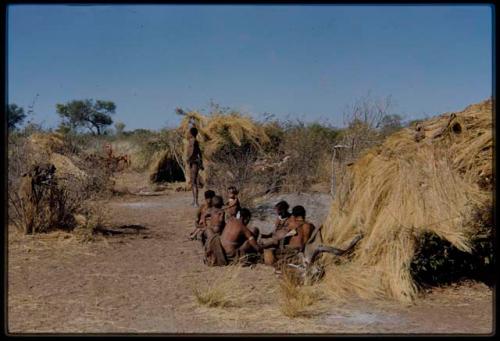 Food, Meat: "Gao Medicine" bringing a quarter of meat in meat distribution to a group of people in Band 2 sitting in front of Gau's skerm