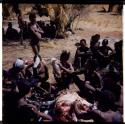 Food, Meat: Group of people cutting up the ostrich that "/Qui Hunter" killed on the pan (half of stereoview 2001.29.5790)