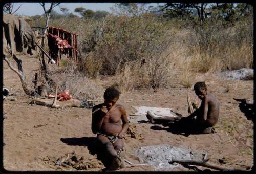 Food, Meat: "Old Gau" sitting beside the ashes of his fire, with /Gishay sitting next to him, strips of meat hanging on a tree branch in the background