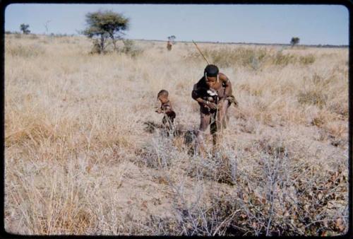 Food Gathering, Children: //Kushay ("Gao Helmet's" second wife) gathering tsi, with a child standing next to her