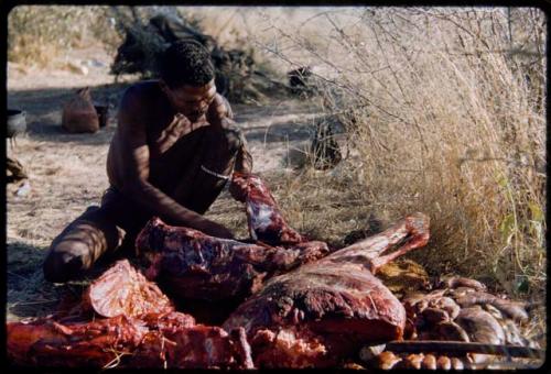 Food, Meat: "Gao Medicine" cutting up meat, close-up