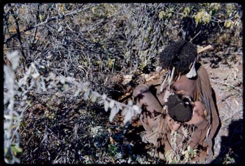 Food Gathering, Children: Woman digging in brush, with her child tied to her back, view from behind