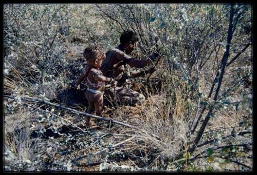 Food Gathering, Children: Woman digging in brush, with a child standing behind her