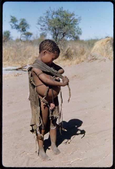 Food Gathering, Children: Be (daughter of Bo) tying veldkos on her back