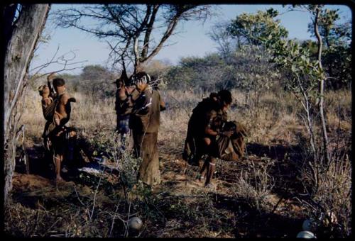 Food Gathering, General: Women gathering among trees