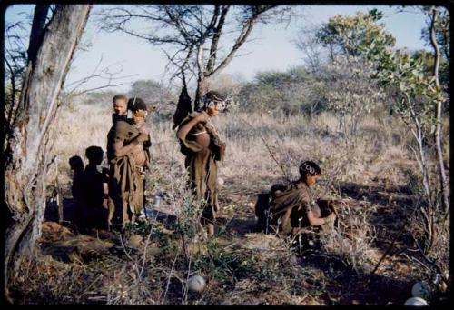 Food Gathering, General: Women gathering among trees