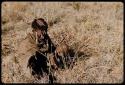 Food Gathering, General: Woman sitting in grass, gathering tsi