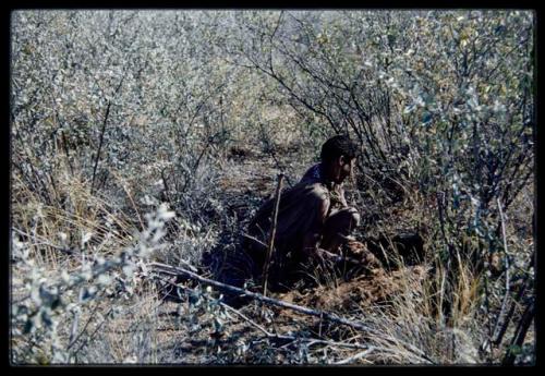 Food Gathering, General: Woman digging in brush