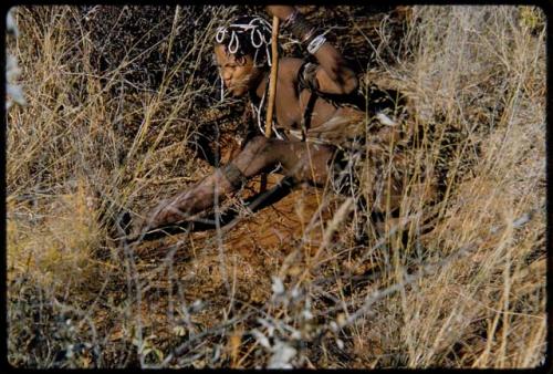 Food Gathering, General: Woman sitting and digging