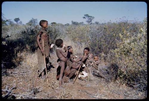 Food Gathering, Water Root: ≠Ghia of Band 10 and Bau of Band 9 and an unidentified woman digging for water roots, with a child standing next to them