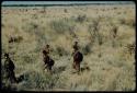 Food Gathering, General: Women walking through grass, carrying children on their shoulders