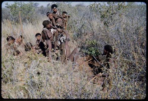 Food Gathering, Water Root: Group of women digging for water roots