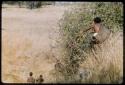 Food Gathering, Water Root: Woman up on a bank of a pan or omarumba picking berries from a bush, with two people standing below her