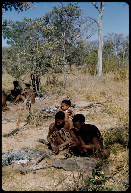 Food Gathering, "Manghettis": "Crooked /Qui" and /Gaishay (son of "/Gao Music") cracking mangetti nuts, with a child standing behind them