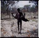 Food Gathering, "Manghettis": Gao of Band 10 carrying mangetti nuts in bags made of animal skins hung on a carrying stick over his shoulder (half of stereoview 2001.29.5692)