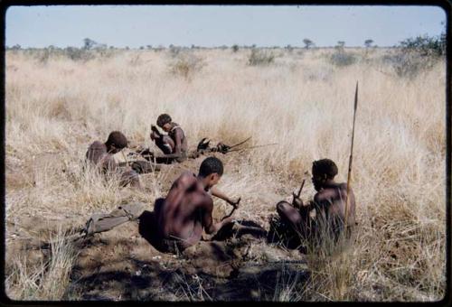 Food Gathering, Men: Men digging, possibly for poisonous beetle larvae