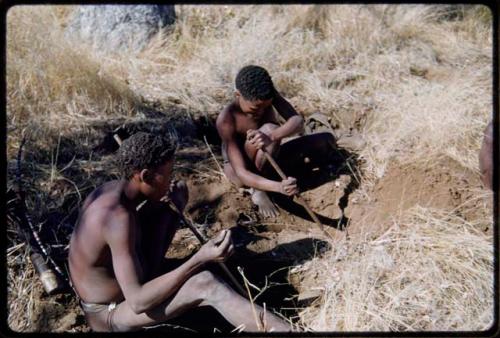 Food Gathering, Men: "Crooked /Qui" and an unidentified man digging