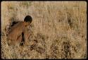 Food Gathering, Men: Man crouching in grass