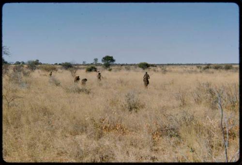 Food Gathering, Tsi: Group of people gathering tsi, distant view