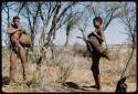 Food Gathering, Tsi: //Ao and ≠Gao (son of Debe and husband of Zuma) carrying bags made from animal skins filled with tsi nuts