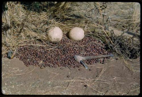 Food Gathering, Tsi: Pile of tsi on the ground with two ostrich egg shells, an adze and a carrying net