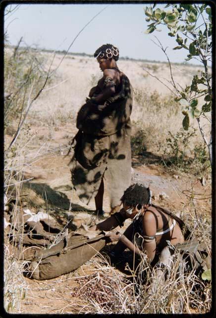 Food Gathering, Tsi: Woman packing tsi into a bag, with another woman packing tsi into her kaross