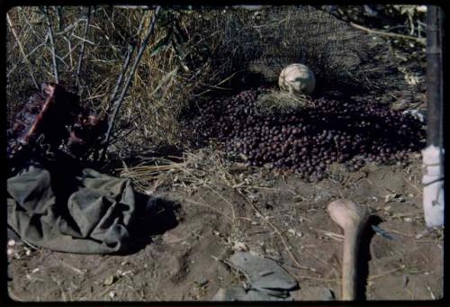 Food Gathering, Tsi: Pile of tsi on the ground next to sandals, kaross, spoon and an ostrich eggshell