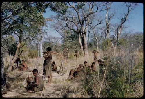 Fiber root: Group of people standing and sitting in a clearing of the mangetti forest