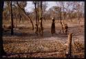 Women and children returning with water