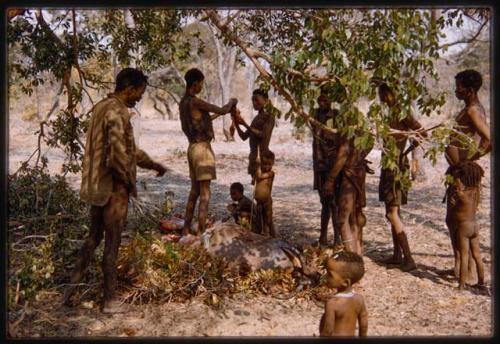 People standing near a dead tsessebe, presumably to get some meat