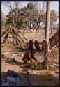 Kumsa cutting meat off tsessebe, with other people behind him