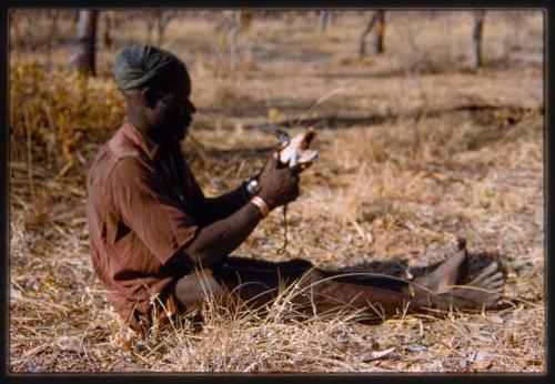 Profile of Bela, wearing a Western shirt, sitting and cleaning animal teeth