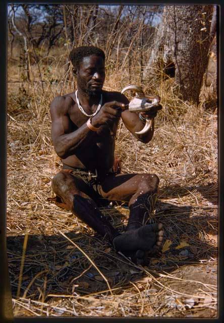 Bela sitting and cleaning animal teeth