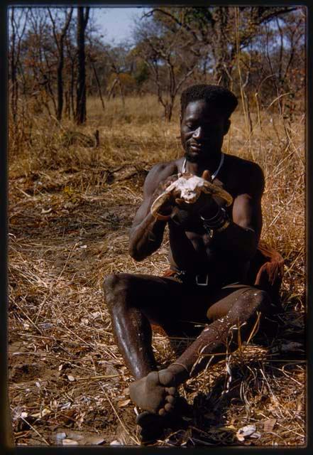 Bela sitting and cleaning animal teeth